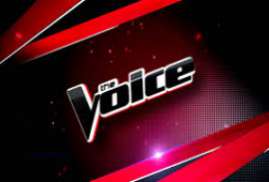 The Voice season 11 episode 15