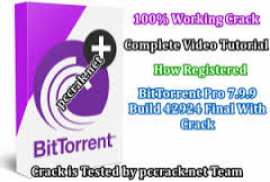 BitTorrent Pro 7