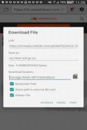 Download Accelerator Plus DAP 10