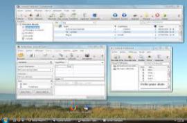 Mozilla Thunderbird EN 24