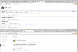 Google Chrome Beta 55