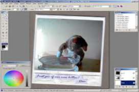 Paint NET 4