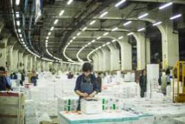 Tsukiji Wonderland 2017