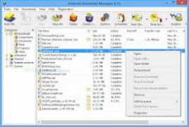 Internet Download Manager IDM 6
