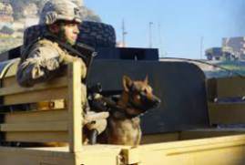 Megan Leavey 2017