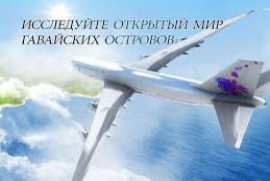 Take Off The Flight Simulator