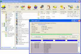 Internet Download Manager IDM 6